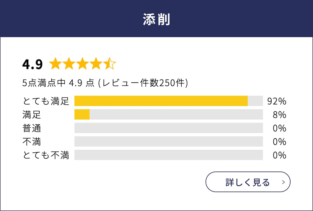 添削のレビュー